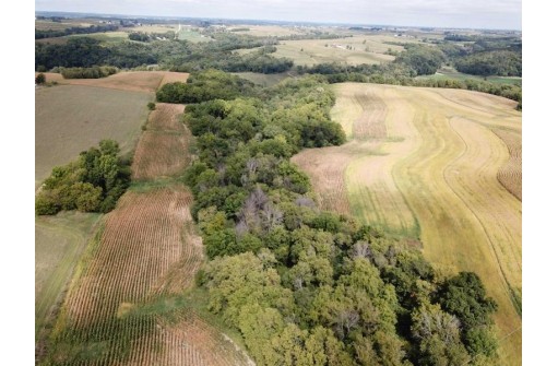 +/-25 ACRES Bee Lane, Lancaster, WI 53813