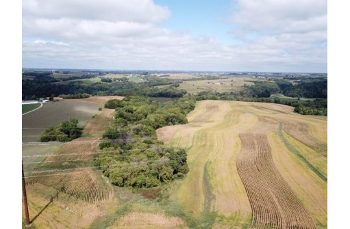 +/-25 ACRES Bee Lane, Lancaster, WI 53813