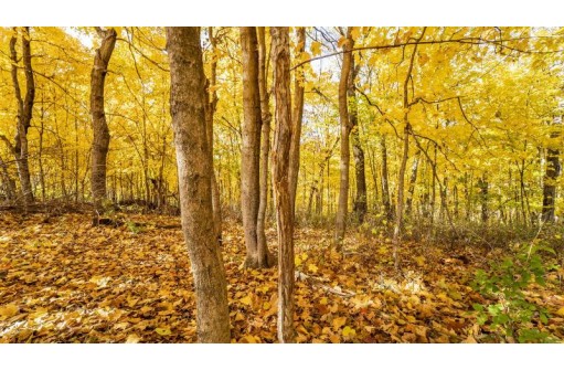 +/-25 ACRES Bee Lane, Lancaster, WI 53813