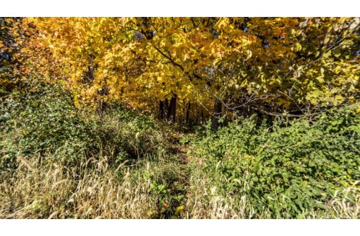 +/-25 ACRES Bee Lane, Lancaster, WI 53813