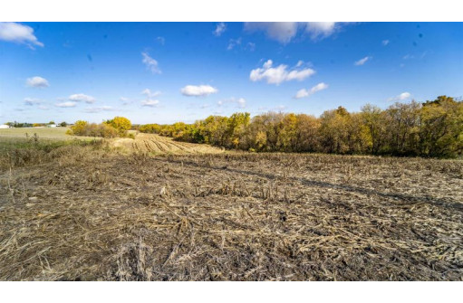 +/-25 ACRES Bee Lane, Lancaster, WI 53813