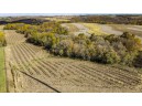 +/-25 ACRES Bee Lane, Lancaster, WI 53813