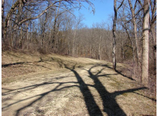 55.5 +/- ACRES Hunter Hollow Road Dodgeville, WI 53533