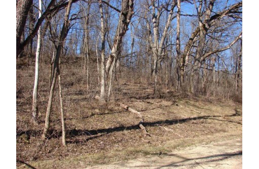 55.5 +/- ACRES Hunter Hollow Road, Dodgeville, WI 53533