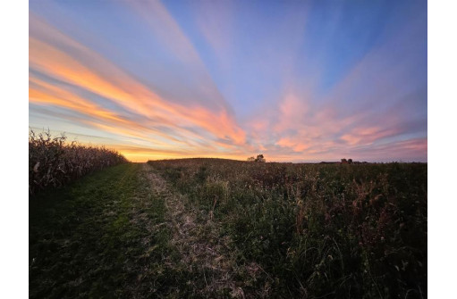 67.82 Acres Whippoorwill Road, Cross Plains, WI 53528