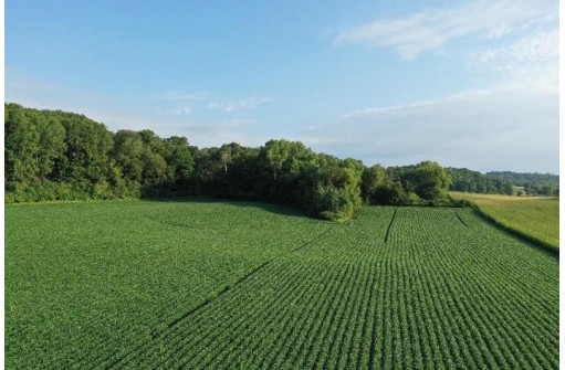 67.82 Acres Whippoorwill Road, Cross Plains, WI 53528