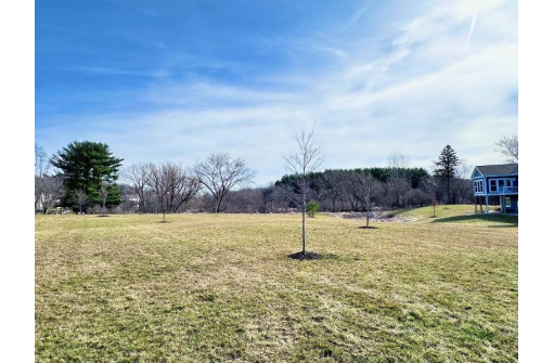 6774 Conservancy Plaza, DeForest, WI 53532