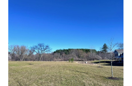 6774 Conservancy Plaza, DeForest, WI 53532