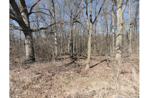 22 AC County Road A, Blanchardville, WI 53516