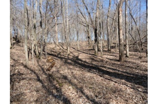 22 AC County Road A, Blanchardville, WI 53516