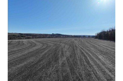 98.36+- ACRES Rock Road, Mineral Point, WI 53565