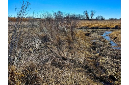 33 +/-AC Highway 73, Randolph, WI 53956