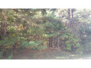 LOT 65 Fur Drive, Wisconsin Dells, WI 53965-0000