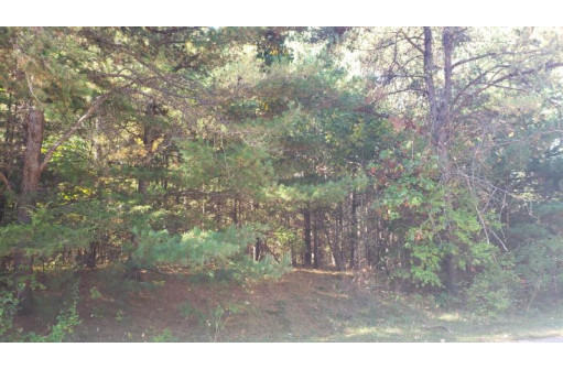 LOT 65 Fur Drive, Wisconsin Dells, WI 53965-0000