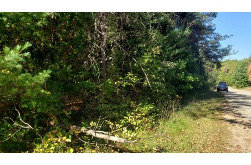 LOT 63 Fur Drive, Wisconsin Dells, WI 53965-0000