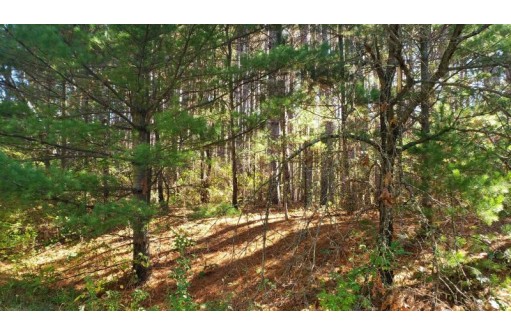 LOT 71 Fur, Wisconsin Dells, WI 53965-0000