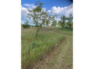 10 ACRES 4th Avenue Coloma, WI 53930