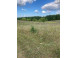 10 ACRES 4th Avenue Coloma, WI 53930