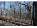 38.04 ACRES Lovers Lane, Elroy, WI 53929