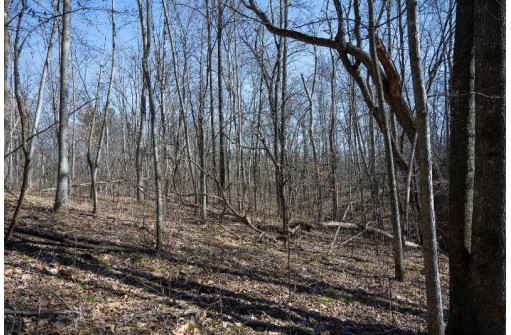 38.04 ACRES Lovers Lane, Elroy, WI 53929