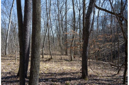 38.04 ACRES Lovers Lane, Elroy, WI 53929