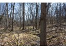 38.04 ACRES Lovers Lane, Elroy, WI 53929