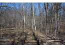 38.04 ACRES Lovers Lane, Elroy, WI 53929