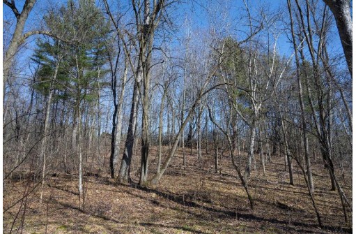 38.04 ACRES Lovers Lane, Elroy, WI 53929