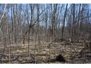 38.04 ACRES Lovers Lane, Elroy, WI 53929