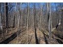 38.04 ACRES Lovers Lane, Elroy, WI 53929