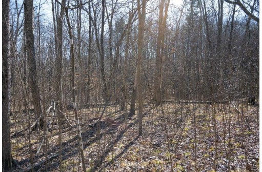 38.04 ACRES Lovers Lane, Elroy, WI 53929