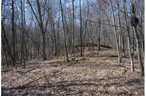 38.04 ACRES Lovers Lane, Elroy, WI 53929