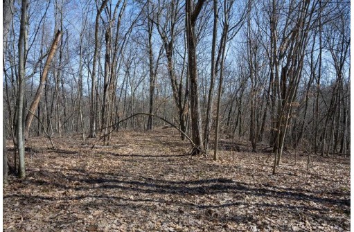 38.04 ACRES Lovers Lane, Elroy, WI 53929