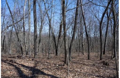 38.04 ACRES Lovers Lane, Elroy, WI 53929