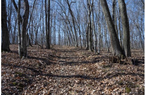 38.04 ACRES Lovers Lane, Elroy, WI 53929