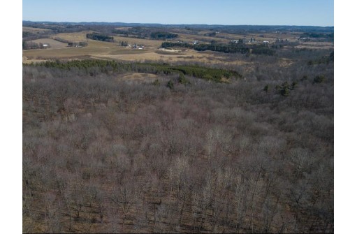 38.04 ACRES Lovers Lane, Elroy, WI 53929