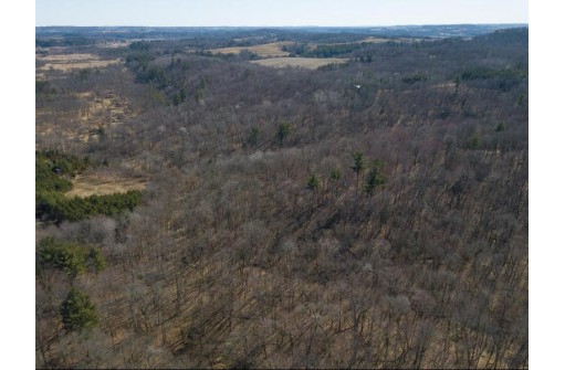 38.04 ACRES Lovers Lane, Elroy, WI 53929