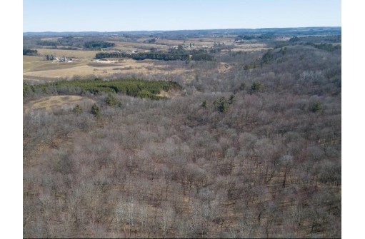 38.04 ACRES Lovers Lane, Elroy, WI 53929