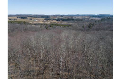 38.04 ACRES Lovers Lane, Elroy, WI 53929