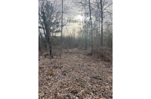 LOT 1 11th Avenue, New Lisbon, WI 53950