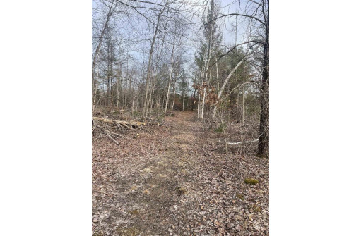 LOT 1 11th Avenue, New Lisbon, WI 53950