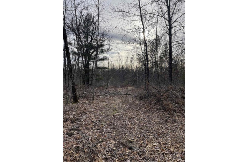 LOT 1 11th Avenue, New Lisbon, WI 53950