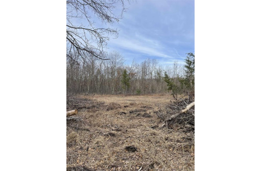 LOT 1 11th Avenue, New Lisbon, WI 53950