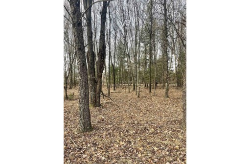 LOT 3 11th Avenue, New Lisbon, WI 53950