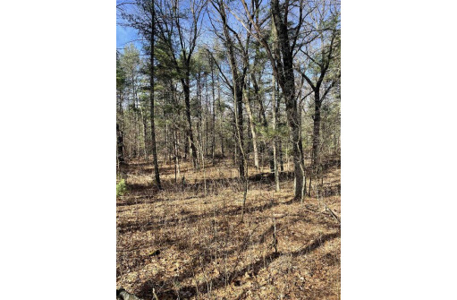 LOT 46 18th, Arkdale, WI 54613