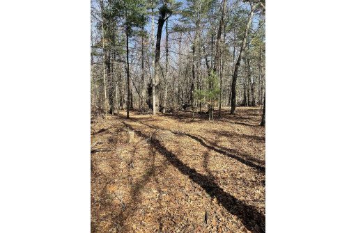 LOT 46 18th, Arkdale, WI 54613