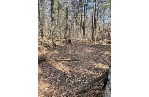 LOT 46 18th, Arkdale, WI 54613