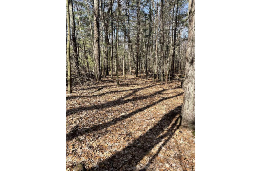 LOT 46 18th, Arkdale, WI 54613