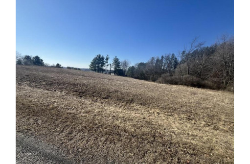 LOT 733 Green Knoll Drive, La Valle, WI 53941