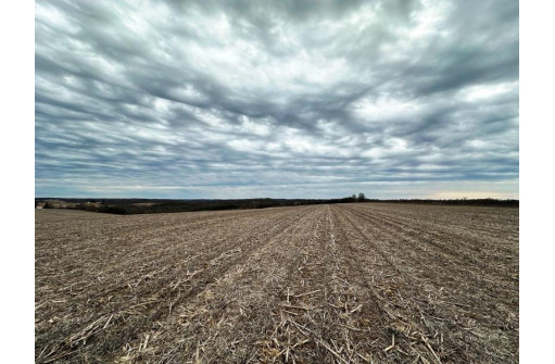 135.80AC Hickory Hill Road, Hillsboro, WI 54634